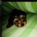 Profile Picture of Mark Duffey (@duffey1966) on Pinterest