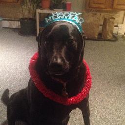 Profile Picture of AVERY GRANT (@THRASHNINJAX) on Twitter