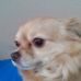 Profile Picture of Rayna Craycraft (@Rayna-Craycraft) on Facebook