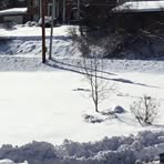 Profile Picture of Jamie Covert (@jamie.covert.12) on Facebook