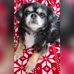Profile Picture of Beverly Kirk (@beverly.kirk.712) on Facebook