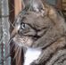 Profile Picture of Paula Dupont (@paula.dupont.942) on Facebook
