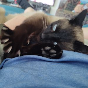 Profile Picture of Robin Kopp (@robin.kopp) on Tiktok