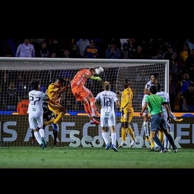 Julio Cesar Chavez Alvarez - Twitter Profile Picture of Julio Cesar Chavez Alvarez (@JulioCe72167035) on Twitter