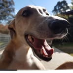 Profile Picture of Jason Shur (@jason.shur.7) on Facebook