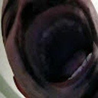 Profile Picture of David Sedillo (@david-sedillo-15) on Quora