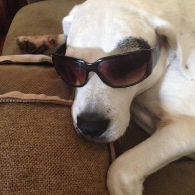 Profile Picture of Elizabeth Schoppman (@ElizabethSchopp) on Twitter