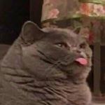 Profile Picture of Caroline Moore On That (@coolroline) on Instagram