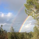 Profile Picture of David Dekker (@dekkerphysics) on Instagram