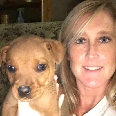 Profile Picture of Amanda Ragan (@AmandaRaganDD) on Twitter