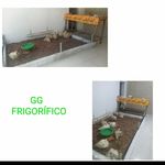 Profile Picture of Geraldo e Gleyce (@ggfrigorificopaudalho) on Instagram