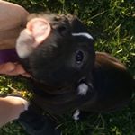 Profile Picture of Tyler Geiger (@football_fireguy) on Instagram