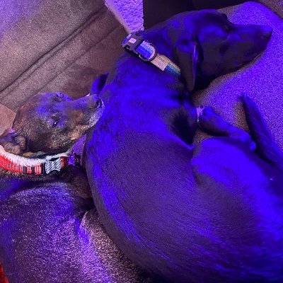 Profile Picture of Mike Riles (@MikeRiles3) on Twitter