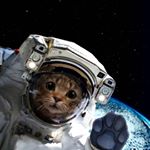 Profile Picture of Pauline Bordeau (@bordeaupopo) on Instagram