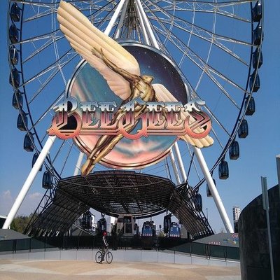 Profile Picture of Jeff Gibb (@jeff_gibb) on Twitter