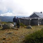 Profile Picture of Steve Poulton (@poultonsteve) on Instagram