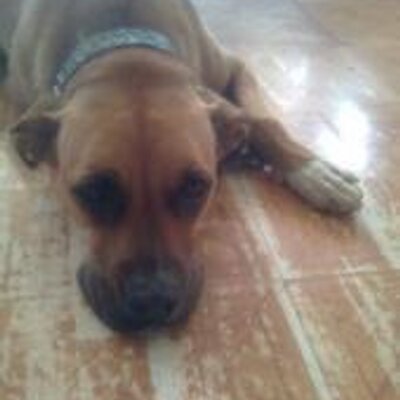 Profile Picture of GIOVANNI GILES (@DESHONCENA) on Twitter