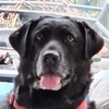 Profile Picture of Jimmy Bruce (@@jimmybruce18) on Tiktok