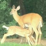 Profile Picture of theo raymackers (@theo.rayma) on Instagram