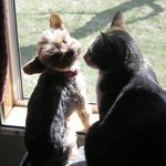 Profile Picture of Roberta Siferd (@robertasiferd) on Instagram