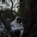 Profile Picture of Nathan Ledger (@V0IDNL) on Pinterest