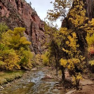 Profile Picture of Philip Yoon (@PhilipYoon) on Twitter