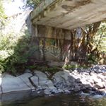 Profile Picture of Taylor Tomlin (@taylor_tomlin_photography) on Instagram