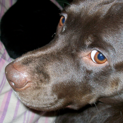 Profile Picture of Jeffrey W Smith (@jdmorganfan) on Twitter