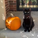 Profile Picture of Lisa Hoyt (@lisa.hoyt.522) on Facebook