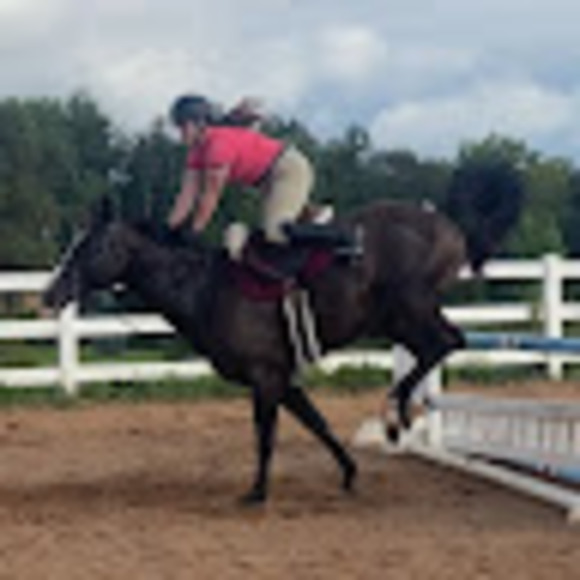 Profile Picture of Emily Glaubitz (@glauemil) on Poshmark