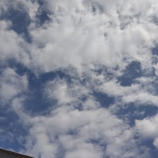 markklee1 - Instagram Profile Picture of markklee1 (@markklee1) on Instagram