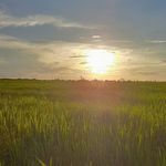 Profile Picture of julia.justice (@julia.justice) on Instagram