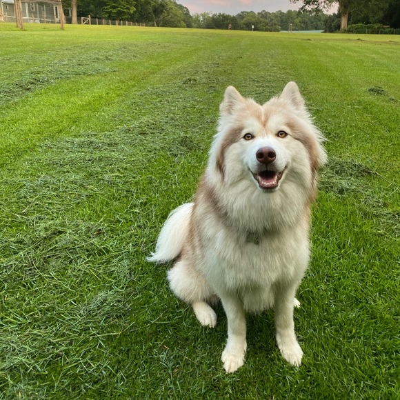 Profile Picture of James Kraner (@kraner28) on Poshmark