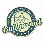 Profile Picture of Craig Stewart (@bullywoodkennels) on Instagram