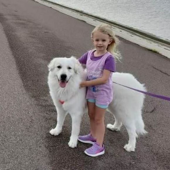 Profile Picture of Valerie Kaczynski (@mizekman) on Poshmark