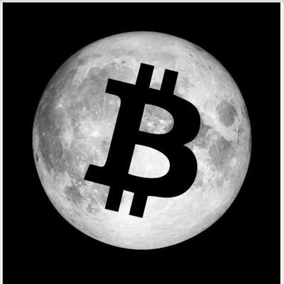 Profile Picture of Martin Toomey (@Toomey86) on Twitter