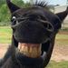 Profile Picture of Constance Watson (@aauwj5990) on Pinterest