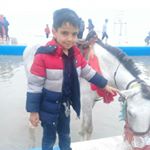 Profile Picture of gavad.zand (@gavad.zand1) on Instagram