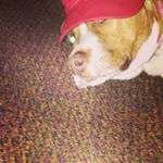 Profile Picture of Robert Toomey (@wobertboy) on Instagram