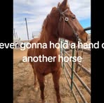 Profile Picture of Jacob Mortenson (@morrisonleejacob) on Facebook