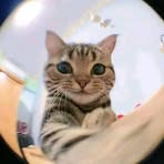 Profile Picture of John Hist (@John-Hist) on Facebook