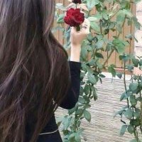 Husn E Qudrat - Quora Profile Picture of Husn E Qudrat (@husn-e-qudrat) on Quora