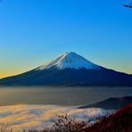 Profile Picture of Miriam Cropper (@Miriam-Cropper) on Facebook