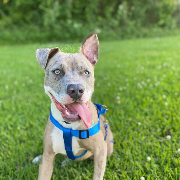 Profile Picture of Jacob Alcala (@shop_mo511) on Poshmark