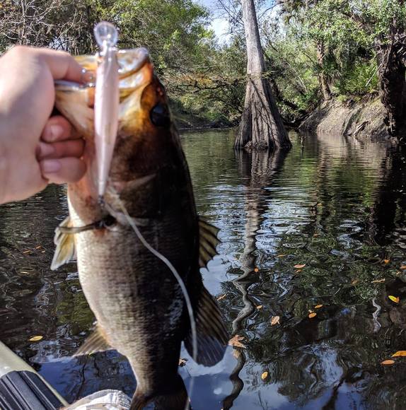 Profile Picture of Chris Hussing (@chrishussing) on Poshmark