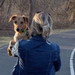 Profile Picture of Tammy Knight-Gallant (@t_knight419) on Instagram