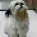 Profile Picture of Cassandra Balderas (@cassandra.balderas.927) on Facebook