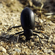 Profile Picture of Gavin Spencer (@gavinspencer2308) on Youtube