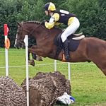 Profile Picture of Alison Hughes (@castlefarmpaddocks) on Instagram