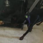 Profile Picture of Nathan_brannon (@nathan_brannon9452) on Instagram